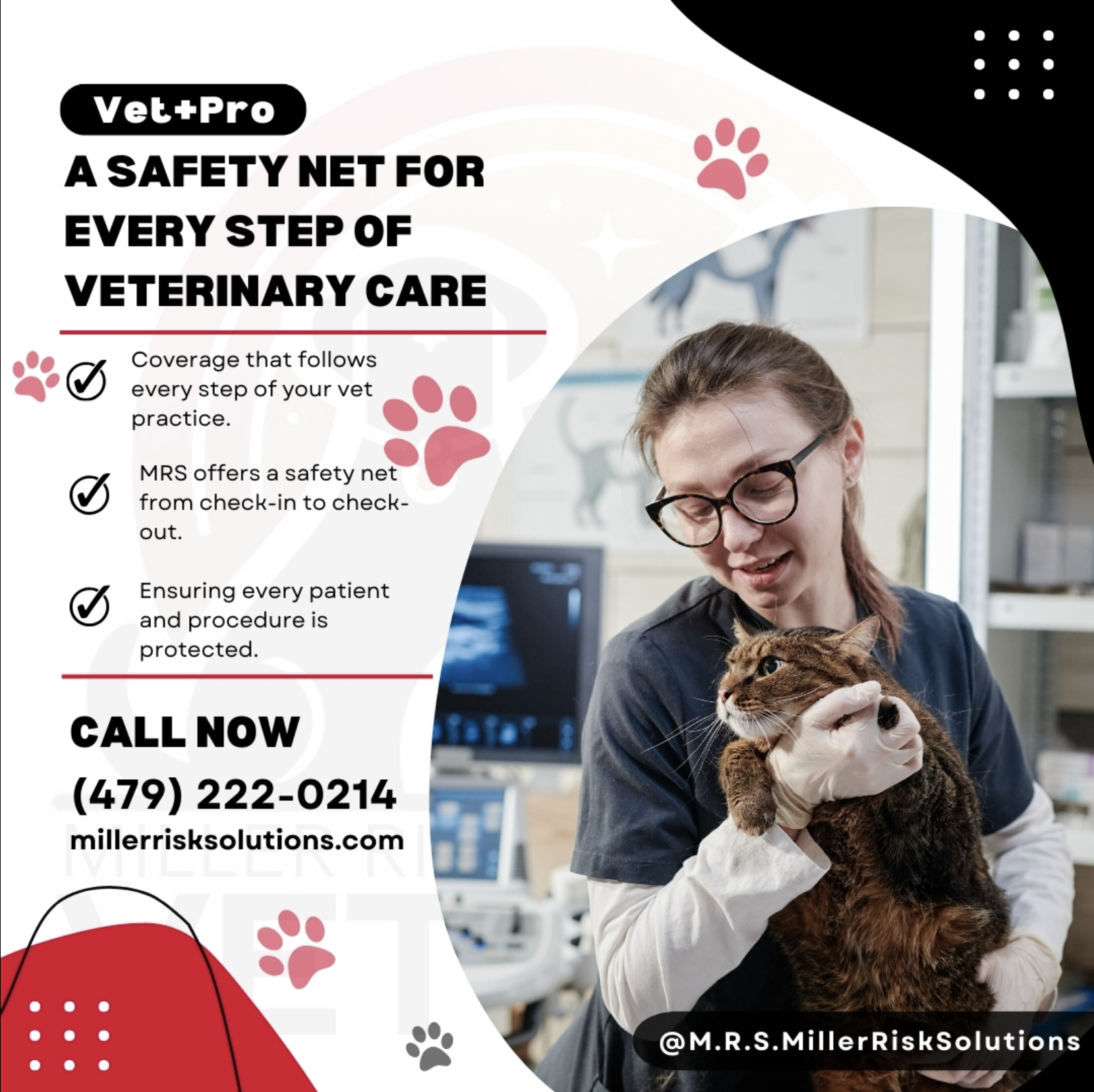 Women Entrepreneurs Series